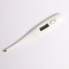 Electronic thermometer